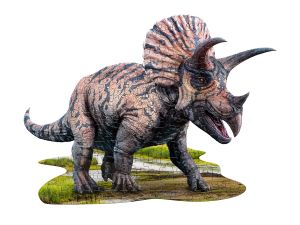 Triceratops Puzzle
