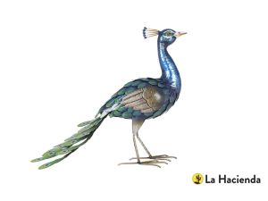 La Hacienda - Realistic Peacock